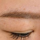 눈썹예쁘니 이미지