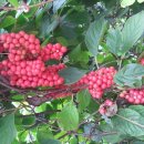 방동농장 이미지