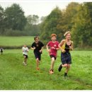 브레인웨어 | 학생이 러닝? 단어나 외워! 핀잔... 20분 뛰고 공부하면 뇌에서 벌어지는 일