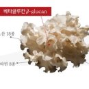 (주)글루칸 이미지