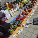 인흥길 | 대구 달성군 화원 시장 장날 5일장 주차 먹거리 야채 과일 가격 정보 (8월 6일 후기)