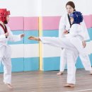 리틀타이거 태권도 이미지