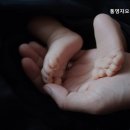 통영자모산후조리원 이미지