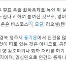 인견- 안진영 이미지