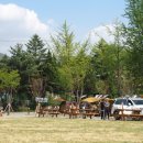 별난독서캠핑장 이미지