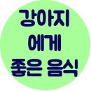 Re:강아지에게 좋은 음식 이미지