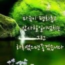 박팽년의 가문 이미지