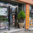 샤르망헤어아트 이미지