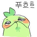로아PC 이미지