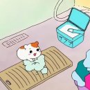 펭귄세탁 이미지
