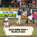 나무안에서 이미지