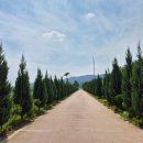 한강시민공원(한강둔치꽃단지) 이미지