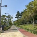 영마루공원 농구장 이미지