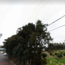 강정동-38 이미지