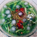 다슬기 반딧불이 이미지