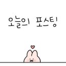 사림동311 이미지