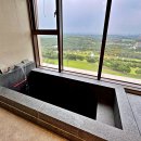 소노펠리체 델피노 이미지