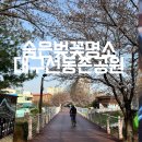 대구선 동촌공원 이미지