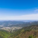 숲속의 하얀집 이미지