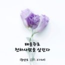 STB 상생방송 생존의 비밀 8강 이미지