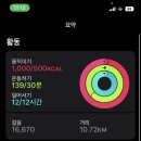 하드캐리짐 이미지