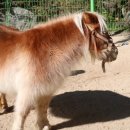 철이네농장 이미지