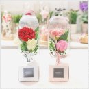 모티픽마켓 이미지