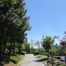 호수공원 입구 이미지