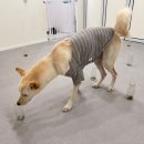 슬기유치원 이미지