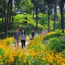 거니는집 이미지