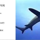 163 환도상어 Sharks, Thresher 이미지