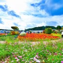 거제돔관광호텔 이미지