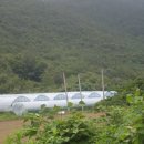 대도농장 이미지