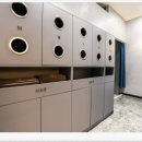 도미디 피트니스 이미지