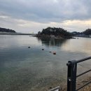 박말순(디벨로펀) 이미지