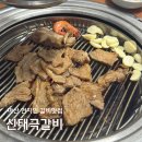 신태극