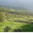 CC 골프존 이미지