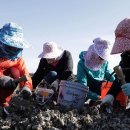 영흥 민박 이미지