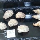 중원대학교박물관 이미지