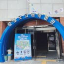 울산 장생포 고래박물관 예매 아이랑 실내가볼만한곳 다녀온후기