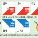 카카오농산물 이미지