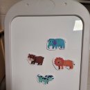 YS동물병원 이미지