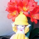 디엠에스 | [다락아이/위드돌]디엠에스(D.M.S)구매후기