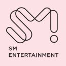 엔터 업계 4대(하이브, SM, YG, JYP) 기획사의 상징적(정체성)인 가수 이미지