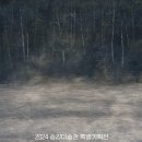 [전시] 2024 송강미술관 특별기획전 ‘천개의 강에 꽃을 새기다’ 이미지