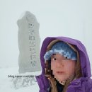 (주)애드디지털 | 사망 후 SNS 계정은 자동 삭제될까? 유튜브 수익 상속·구독 자동결제까지 디지털 자산 정리