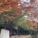 당하1호공원 이미지