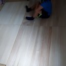 액비골(1) 이미지