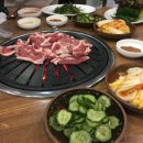낙동생오리 이미지
