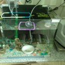 어항 세탁소 이미지